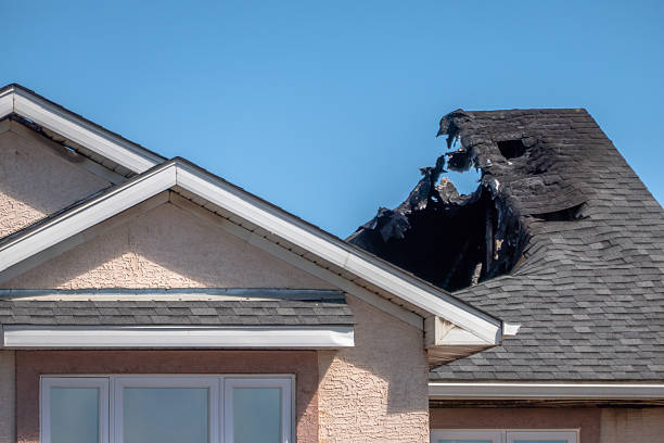 Top rated local Odor Removal specialists in Cape Coral, FL